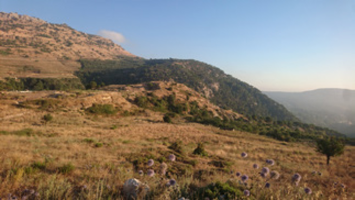 General view from the site towards the south and lower el-Assi river waterfalls